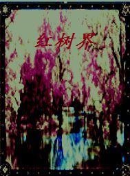 赌侠2024