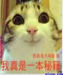 不是亲兄妹的我们