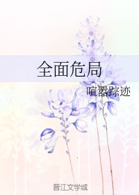 抗日奇侠1一35集大全