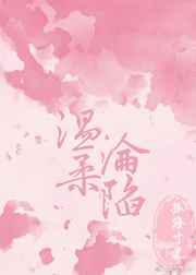 高h系列