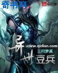 电影少帅全集1至48集