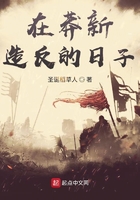 爱书网无弹窗