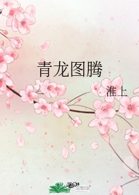 假面骑士龙骑日版全集免费观看