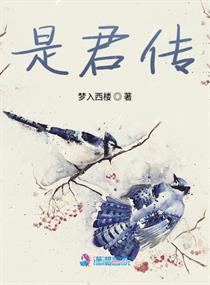 龙腾寰宇