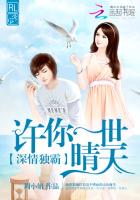 妖妓与艳妓电影完整版