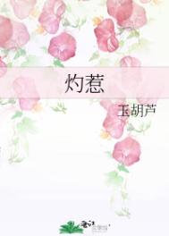 黑暗圣经1～16在线观看免费
