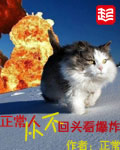 神奇修改器小强第二章