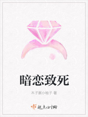 战斗王之飓风战魂4