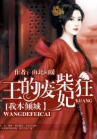 爱情公寓之极品后宫