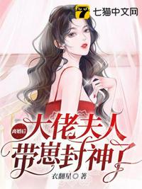 岳飞后传单田芳评书