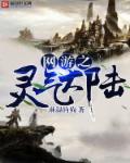 岛国x视频精品在线播放
