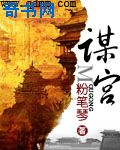 驾校教练小说
