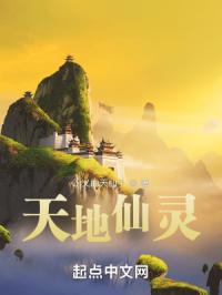 神奇宝贝h第二书包