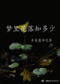 里番绅士库全彩在线观看