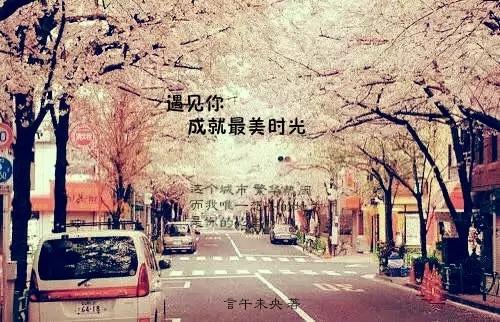 含羞草实验研所入口网站