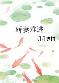 电视剧大秦赋全集免费观看完整版