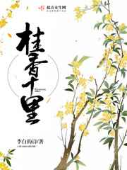 经典沟厕后拍图片