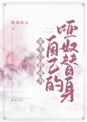 波波视频有黄版本