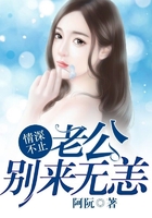 宠物小精灵碧空银河