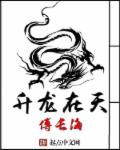 好看站手机版板