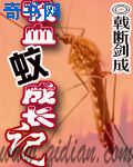 靓影