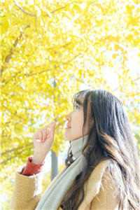 513热点