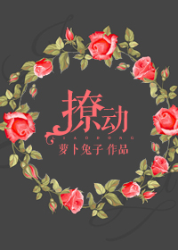 128tv在线视频综合查询