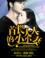婚前试爱在线播放