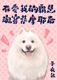 葫芦娃huluwa官方下载入口网站