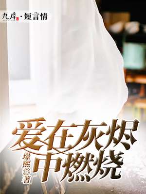 海贼王风之动漫画
