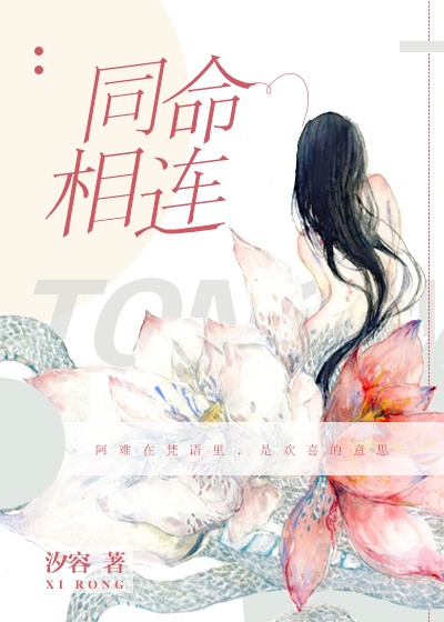 合金弹头全集