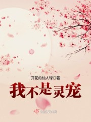 学霸攻x校霸受小说
