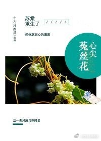 多波野结衣电梯