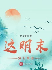 电视剧风筝在线观看