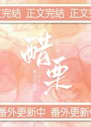 老九门陈皮