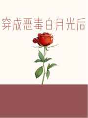 我的黑帮大佬和我的365天