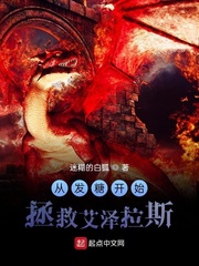 极品家丁下载