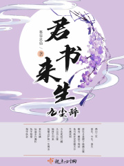 我朋友的老姐3