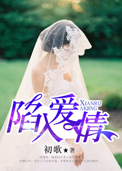 医道官途小说