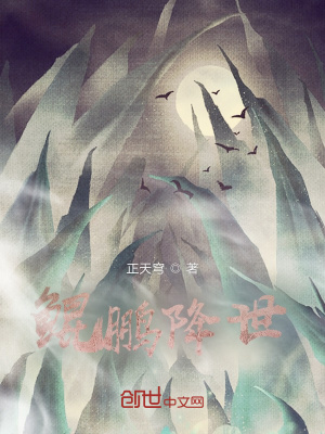 妙女神探第三季