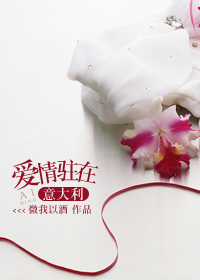 仙女棒怎么放进去的
