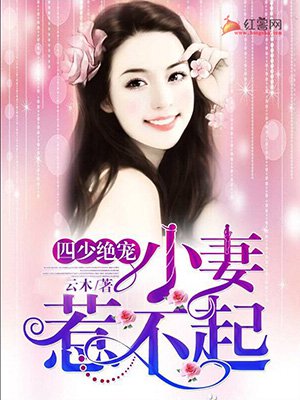 雨夜不带刀绿色母小说