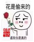 av收藏夹