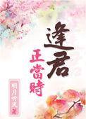激情燃烧的岁月第一部