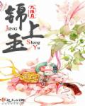 韩国 女主播
