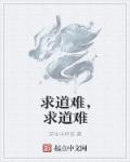 笛卡尔的心形函数