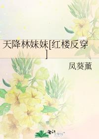 意大利电影《肉屋》