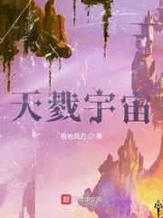 硅谷第四季
