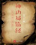 添b小说