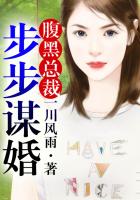 女圣骑士